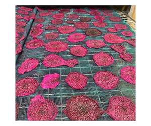 High <b>Quality</b> Dried Pitaya Direct From Vietnam Factory - Natural Dried Pitaya For Snack And Tea Ingredient - Product Image 2