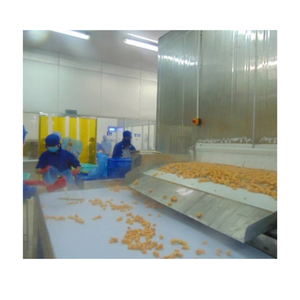 Diepvries mangoblokjes IQF Kent Keitt variëteit leverancier uit Vietnam - Product Image 6