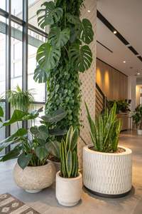 Jardinera Redonda de Fibra de Vidrio FRP de Gran Tamaño con Orificio de Drenaje en la Parte Inferior, Superficie Texturizada para Decoración de Hogar, Balcón y Patio - Product Image 3