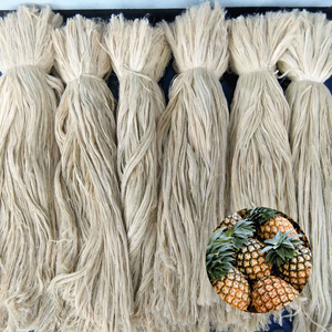 International Standard Hot Sale Vietnam Manufacturer Supply Raw <b>Pineapple</b> Leaf Fiber Packed in Bales - Product Image 1