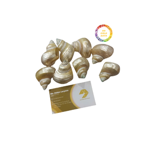 Elegante servilletero de concha marina hecho a mano, perfecto para vajilla de lujo y vibraciones tropicales de 99 Gold Data - Product Image 2