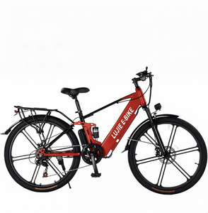 Vélo électrique avec pneus intégrés en alliage de magnésium de 26*2,215 pouces, système de freinage à double disque et suspension, batterie au lithium 36V 12Ah - Product Image 3