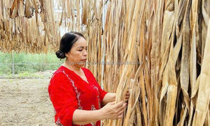 Matière première de fil de fibre de jute naturelle 100% pour la ficelle agricole-corde de sisal de nature - Product Image 4