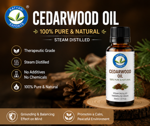 Huile Essentielle de Cèdre 1 KG Distillée à la Vapeur Huile de Cedrus Deodara pour Mélanges d'Aromathérapie - Qualité Industrielle du Madhya Pradesh - Product Image 2