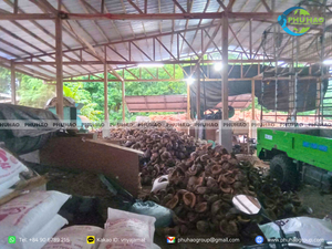 Best seller cocopeat <b>block</b> 5kg compressed coconut <b>coir</b> pith seedling starting helping plants grow fast and healthy supplier - Product Image 5