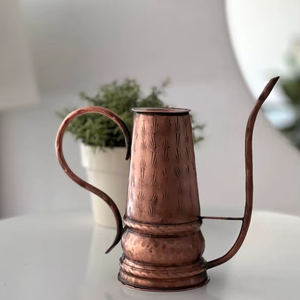 Arrosoir en métal élégant au design moderne et à long bec pour la culture intérieure et la décoration de la maison - Product Image 1