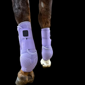 Durable Horse Mesh Tendon Boots Breathable Protective Leg Boots Designed for Comfort Stability and Everyday <b>Equestrian</b> with OEM - Product Image 1