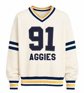 Vêtements universitaires en gros HBCU Florida A&M University FAMU, sweat-shirt unisexe surdimensionné à col en V brodé - Product Image 1