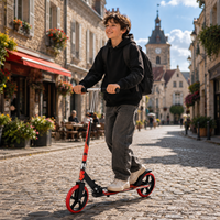 Trottinette pliable en gros avec roulements ABEC-7, roues silencieuses en PU de 200 mm, fournisseur OEM