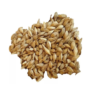 Grano de Cebada a Granel, Producto Agrícola Premium para Alimentación Animal, Industria Alimentaria y Comercio Internacional, MOQ Aceptado - Product Image 1
