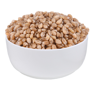 Trigo Duro Premium al por Mayor, Venta al por Mayor de Trigo Duro, Grado Alimenticio, Disponible en Stock, Mejor Calidad para Exportación - Product Image 6
