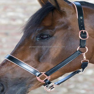 Licol de cheval en cuir rembourré de haute qualité avec des accessoires en or rose de qualité supérieure et une bride réglable - Product Image 5