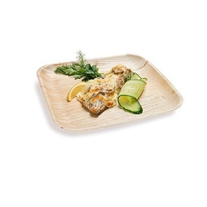 Premium Areca Palm Leaf Square <b>Plates</b> 10 Inches Biodegradable <b>Disposable</b> Dinnerware for Parties & Fast Food <b>Plates</b> Serving Use - Product Image 4