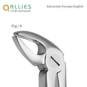 Fournisseur de forceps d'extraction dentaire ODM, instruments chirurgicaux en gros, forceps d'extraction dentaire de qualité supérieure - Product Image 5