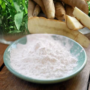 Poudre d'arrowroot du Vietnam 100% naturelle de qualité alimentaire, amidon d'arrowroot pour la pâtisserie et l'épaississement, fournisseur OEM en vrac pour l'exportation - Product Image 1