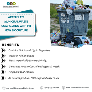 Bactéries de compostage des déchets solides pour une décomposition rapide des déchets organiques dans les stations d'épuration des déchets municipaux - Product Image 2
