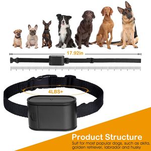 Sistema di Recinzione Elettrica per Cani con Collare Ricevitore, Opzioni Wire Pro per Addestramento e Comportamento degli Animali Domestici - Product Image 3