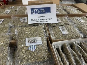 Anchois séchés du Vietnam de la plus haute qualité, saveur riche, parfaits pour les collations et la cuisine gastronomique - Product Image 2