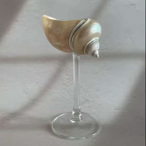 เปลือกหอยทะเลสีขาว Sea Glow White Turbo Shell Glass งานแฮนด์เมดจากเปลือกหอยธรรมชาติ สำหรับตกแต่งบาร์ โรงแรม ร้านอาหาร ราคาขายส่งที่ดีที่สุด - Product Image 1