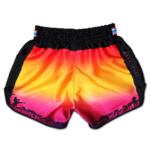 Pantalones Cortos de Muay Thai de Poliéster de Alta Calidad para Niños, Pantalones Cortos de Kickboxing, Pantalones Cortos de Muay Thai Más Vendidos de Alta Calidad - Product Image 2