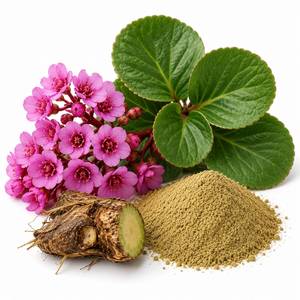 Fournisseur en gros d'ingrédients à base de plantes : Poudre d'extrait de Bergenia Ligulata, Matière botanique de qualité supérieure pour compléments alimentaires - Product Image 5
