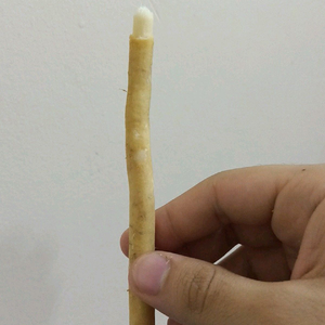 Palitos de Miswak Naturales al por Mayor, Empacados al Vacío, Cepillo de Dientes Herbal Siwak para Limpieza Bucal - Product Image 1
