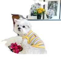 Meilleur Prix – Pull Confortable en Coton Bio Écologique pour Chien – Gilet Moderne et Adorable pour Chiots – Vente en Gros