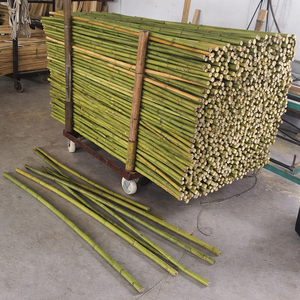 PALOS DE BAMBÚ NATURAL DE ALTA CALIDAD PARA EXPORTACIÓN A VIETNAM - Sra. Alina - Product Image 6