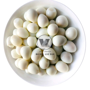 HUEVOS DE CODORNIZ EN SALMURAS ENLATADOS Clean Choice 425g, HUEVOS DE CODORNIZ PELADOS ENLATADOS, PREPARACIÓN RÁPIDA PARA SOPAS ASIÁTICAS Y RESTAURANTES DE HOT POT - Product Image 4