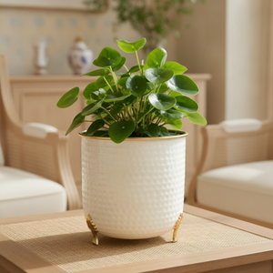 <b>Large</b> White Metal Flower Pot with Gold Plating Trim Durable Modern Minimalist Indoor/<b>Outdoor</b> Desktop <b>Planter</b> for Home Decor - Product Image 5