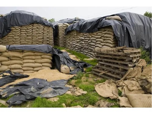 Lona de HDPE con ojales de latón – Dobladillo reforzado de alta resistencia - Product Image 6