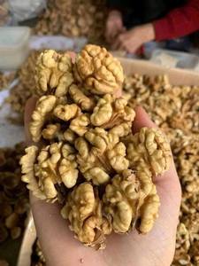 Nueces sin Cáscara Secas Crudas de Primera Calidad, Mitades Extra Claras, Grado A, Suministro a Granel, Calidad de Exportación, Nueva Cosecha - Ms. Tarina - Product Image 6