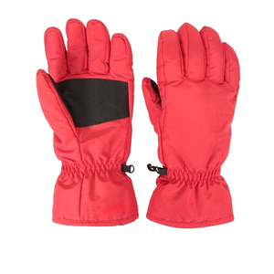 Guantes de Esquí Impermeables para Invierno, Térmicos, Resistentes al Viento, para Snowboard, para Hombres y Mujeres, para Deportes en Clima Frío al Aire Libre - Product Image 1