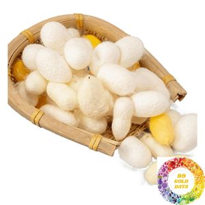 Capullos de Seda al por Mayor de Vietnam, Material de Seda Cruda Natural para la Fabricación Textil y Compradores Internacionales - Product Image 4