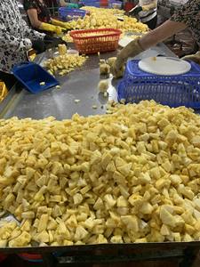 Best Seller Premium Canned Pineapple Slice Syrup Preservation Vitamin C Rich Healthy Top Selling Factory Price - Product Image 5