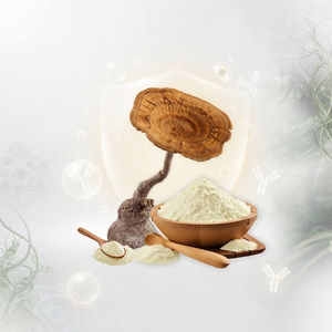 ลิกโน TM02 ®   ผงเห็ดนมเสือ |   ส่วนผสมอาหารเพื่อสุขภาพจากธรรมชาติ |   ผู้ผลิตเครื่องดื่มสำเร็จรูปแบบ OEM 5. - Product Image 1