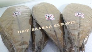 Precio al por mayor Hojas de Catappa India 16-20 cm para limpieza de pescado y productos para mascotas Paquete de 1000 6,3-7,87 \" - Product Image 3