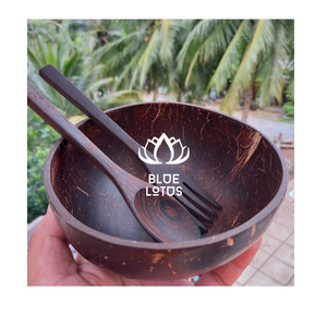 Bol en Coque de Noix de Coco Naturelle Écologique Fait Main, Vaisselle Bio pour Smoothies – Meilleure Vente - Product Image 6