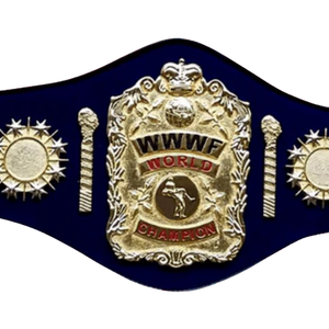 Ceinture de champion du monde de la WWE, ceinture de championnat de lutte personnalisable, édition de collection de haute qualité - Product Image 5