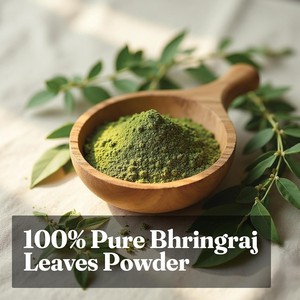 Poudre de Bhringraj Premium 200g 100% Pure et Naturelle, Poudre de Feuilles de Bhringraj pour Soins de la Peau et des Cheveux, Sans Additifs ni Conservateurs - Product Image 3