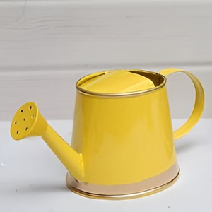 Regadera galvanizada de bajo precio, forma y tamaño personalizados, regadera de alta calidad para decoración de jardín en India - Product Image 3