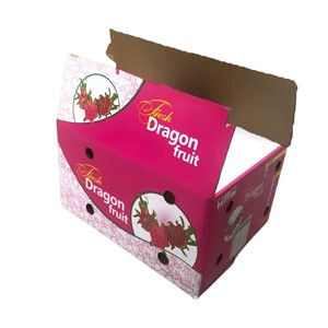 Cajas de Cartón Corrugado Ranurado de 3 Capas con Diseño Rectangular de Fruta del Dragón, Impresión Flexográfica, Recubrimiento UV, Materiales Reciclados, OEM - Product Image 2