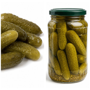Wholesale Price Top Selling Tasty Best Quality Factory In Vietnam Canned <b>Pickled</b> Cucumbers in Brine Packed in 20oz Can - Product Image 1