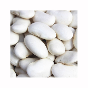 Haricots blancs de haute qualité proposés au prix de gros pour les détaillants et les exportateurs - Product Image 1