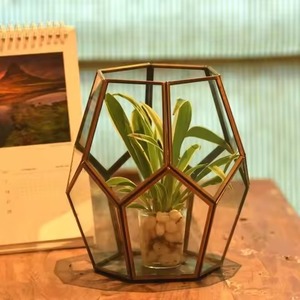 Elegante Terrario de Vidrio y Metal, Macetero con Estilo para Plantas de Interior, Decoración Geométrica para el Hogar - Product Image 1