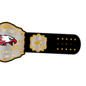 Cinturón de Campeonato Eagle Personalizable, Cinturón Deportivo de Alta Calidad con Logotipo de Águila y Placas Personalizadas - Product Image 4