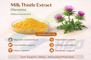 Suministro directo de fábrica HGO de extracto de cardo mariano natural puro (grado alimenticio) Especificación silimarina 40% (extracto estandarizado) - Product Image 5