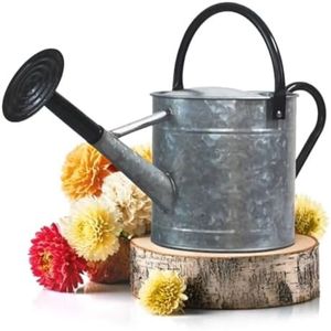 Wholesale Decorative <b>Metal</b> Watering Can Colorful Polka Dot Garden Pot Iron Water Jug Outdoor Indoor Plant Watering <b>Tool</b> Supplier - Product Image 4