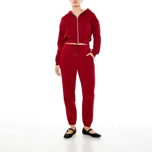 Women's Red 2 Piece Knitted Hooded <b>Crop</b> Top And <b>Jogger</b> Pants Set Casual All Seasons Solid Color Full Sleeve Regular Fit - Product Image 1
