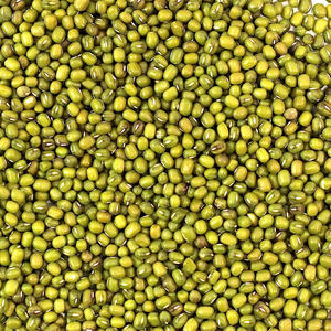 Frijoles Mung Verdes 100% Orgánicos Certificados, Secados, Preparados para Suministro Global al por Mayor con Empaque al Vacío Premium y Selección - Product Image 4